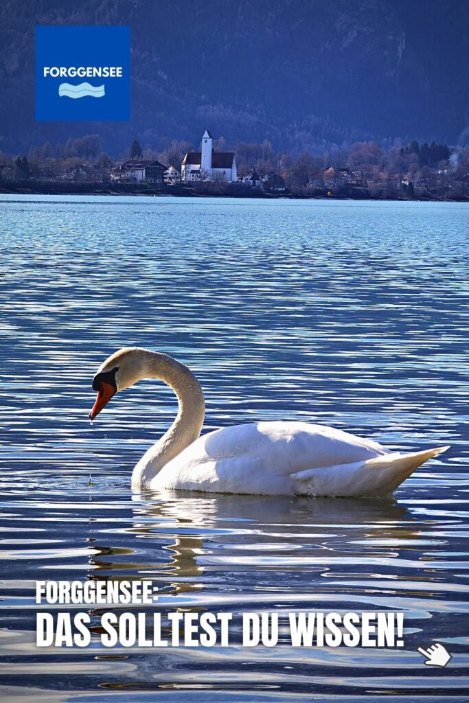 Forggensee